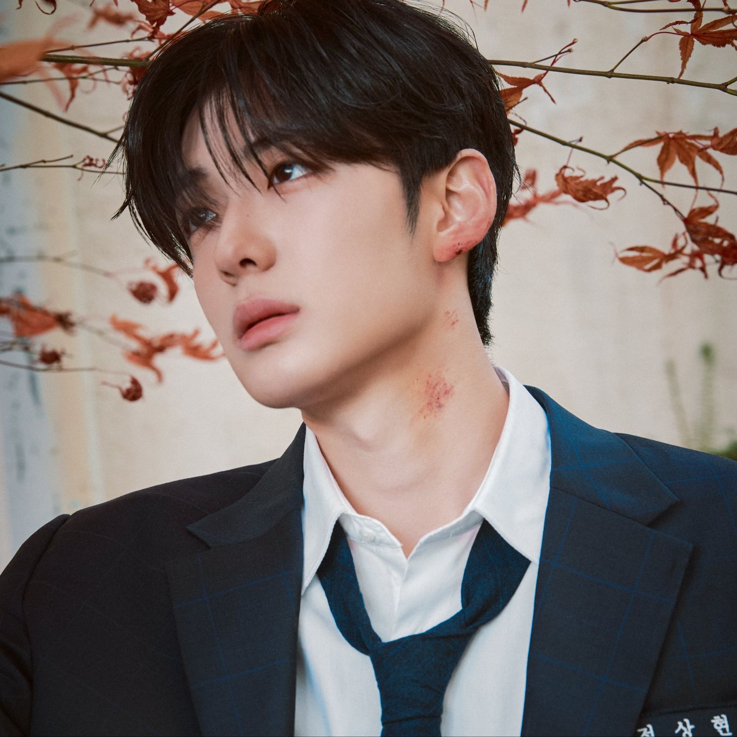 Recent activity shot of Chung Sanghyeon (ALPHA DRIVE ONE)