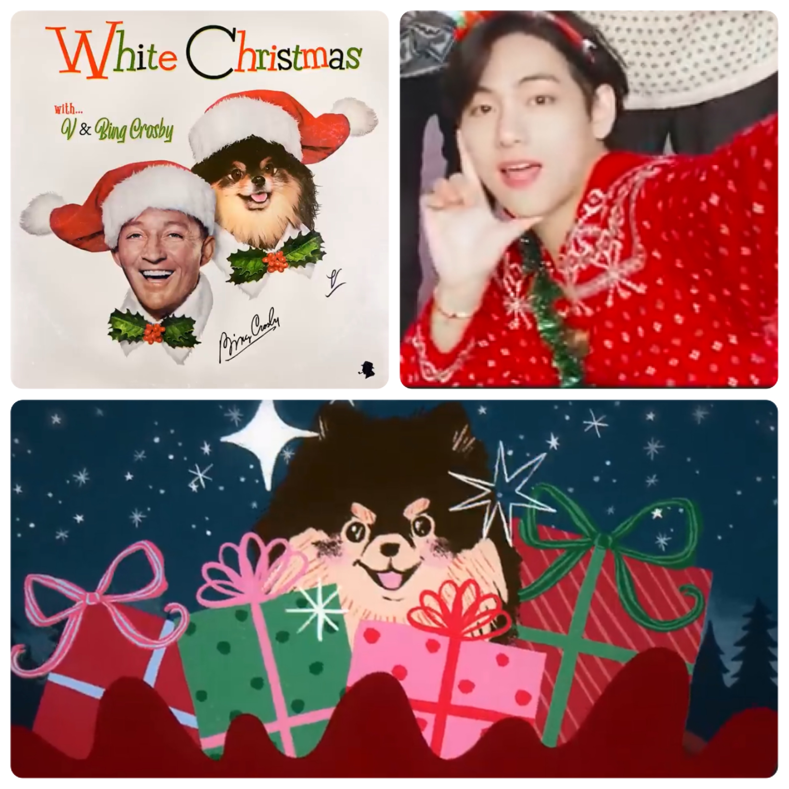 Behind-the-scenes cut of V (BTS)