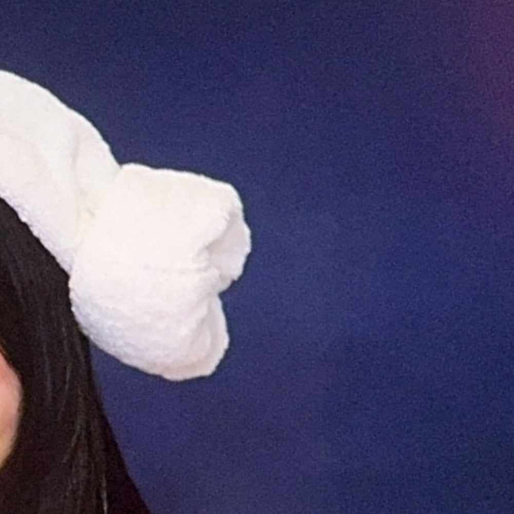 Behind-the-scenes cut of Choerry (ARTMS)
