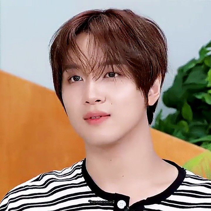 楷灿 (NCT 127, NCT DREAM)的最新活动照片