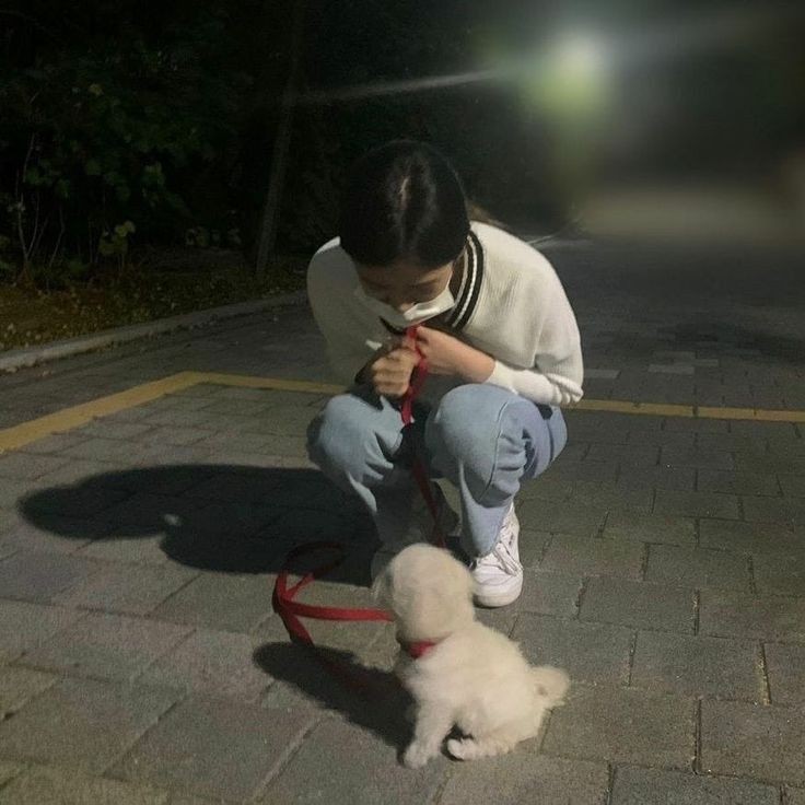 IVE의 최신 사진