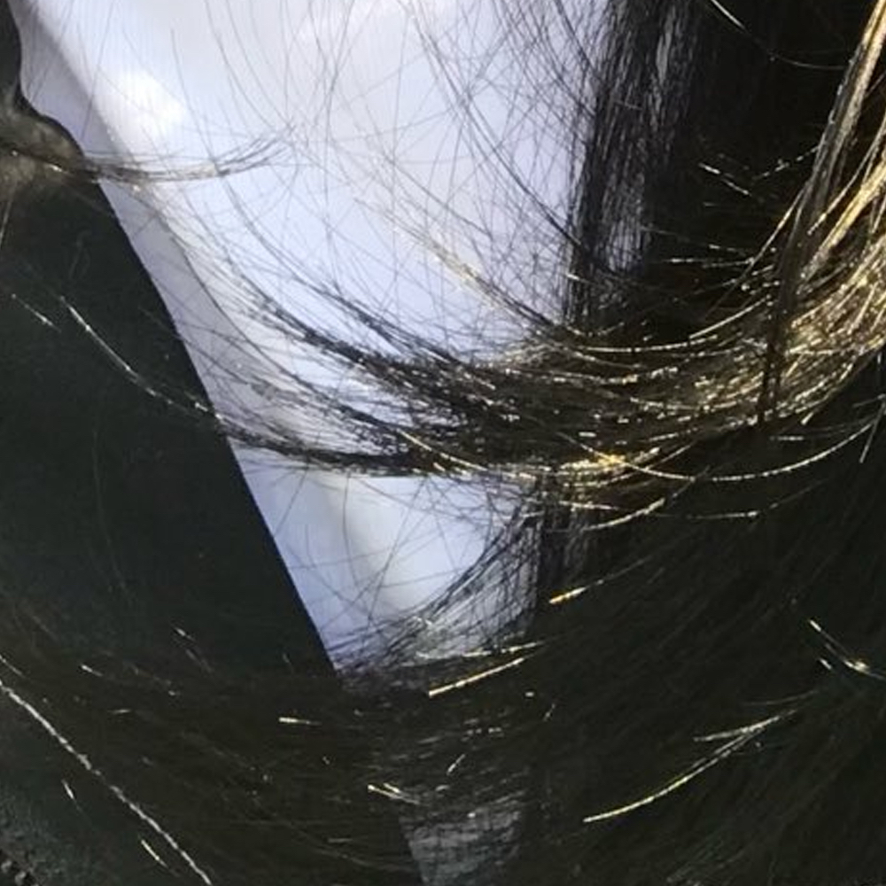 Latest photo of Go Won (Loossemble)