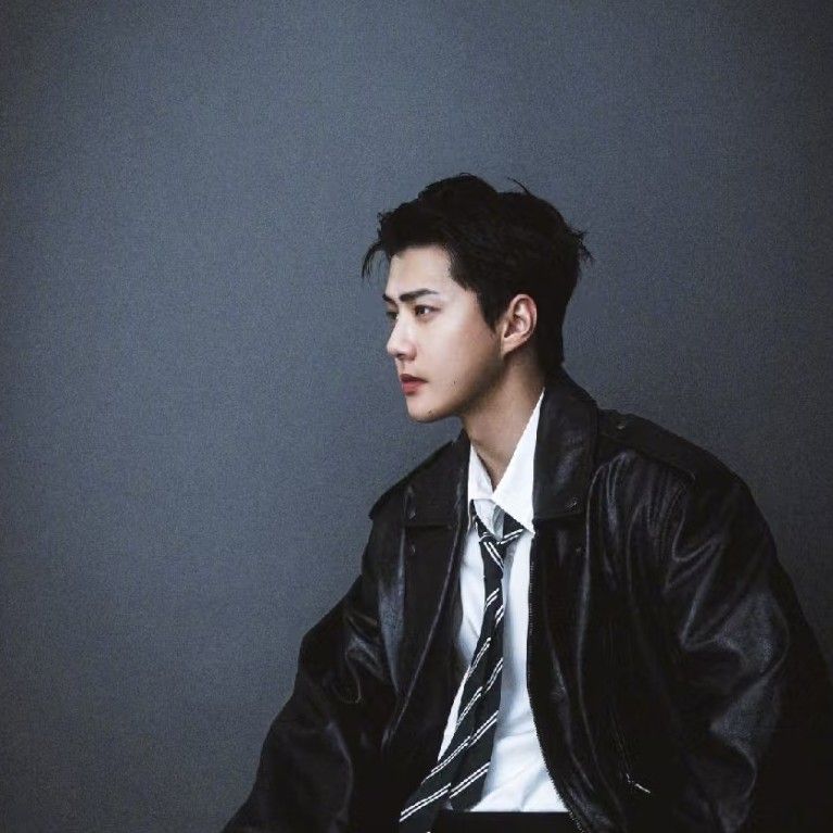 EXO 최근 활동샷