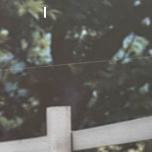 한동 (드림캐쳐) 최근 활동샷