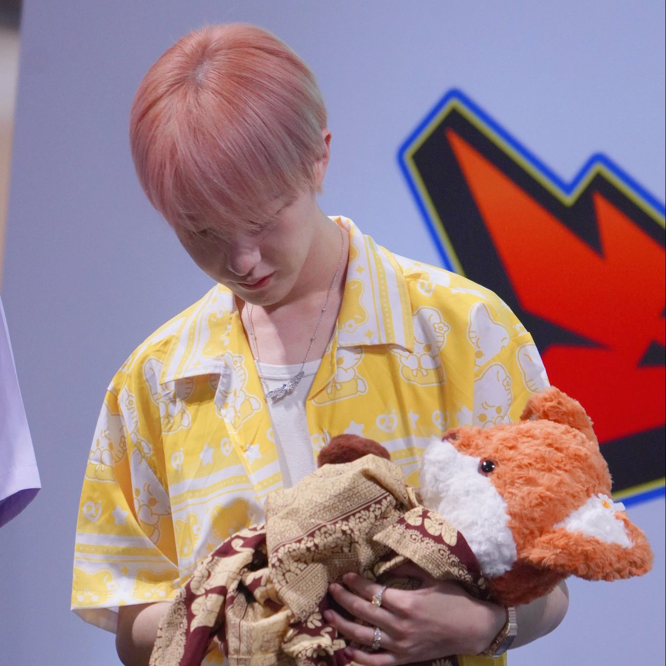 NCT DREAM ロンジュン 40cm ロンミャン sumflowerさま専用 NCT ロンジュン - メルカリ