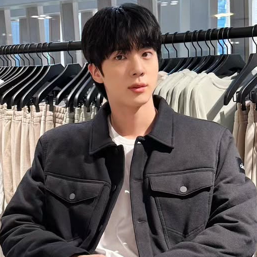 Behind-the-scenes cut of Jin (BTS)