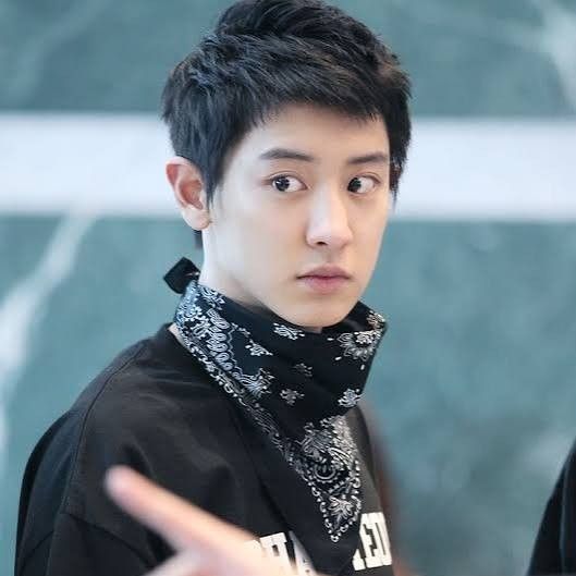 Latest photo of Chanyeol (EXO)