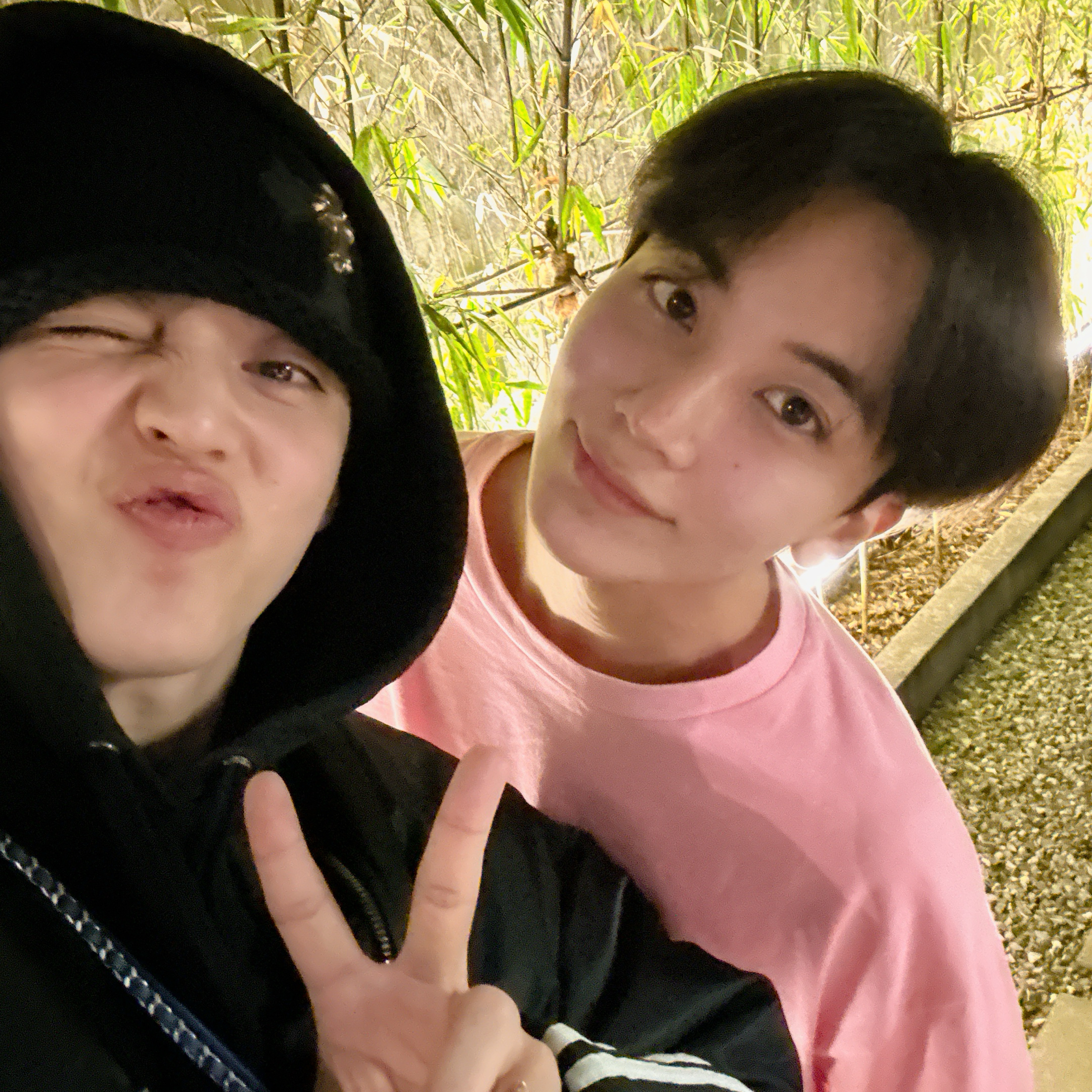 A moment captured by SEVENTEEN's fan