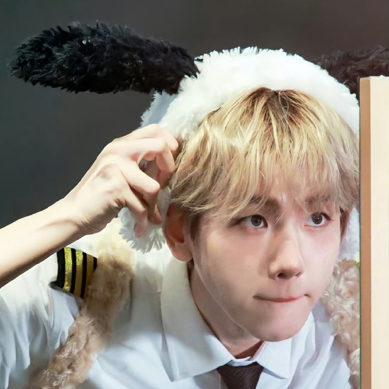 伯賢 (EXO)的最新活動照片