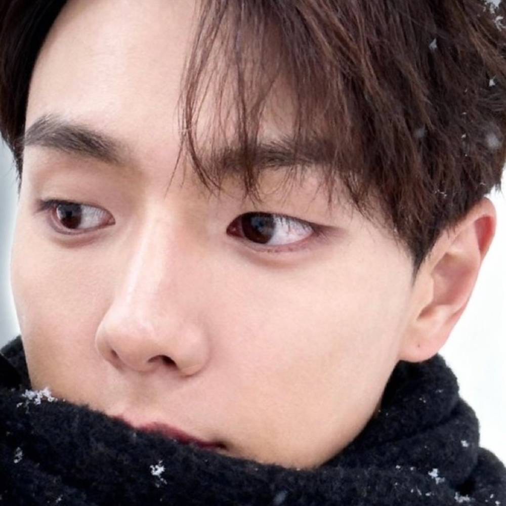 팬들이 사랑한 K-POP 인기 게시글