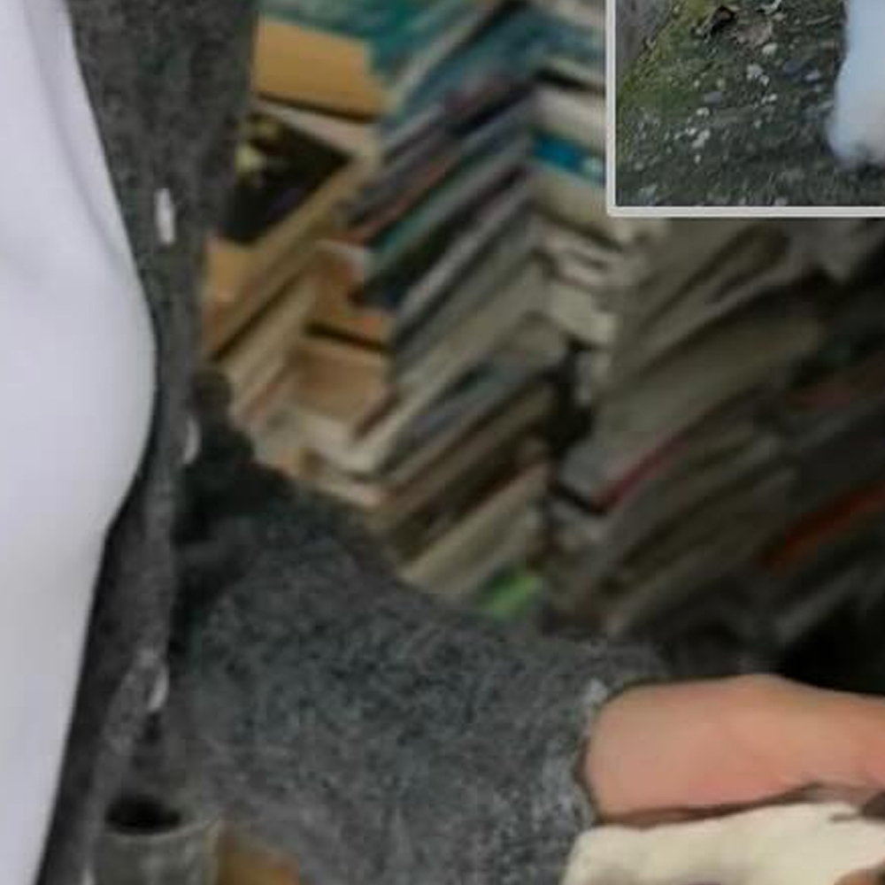 A moment captured by Go Won (Loossemble)'s fan