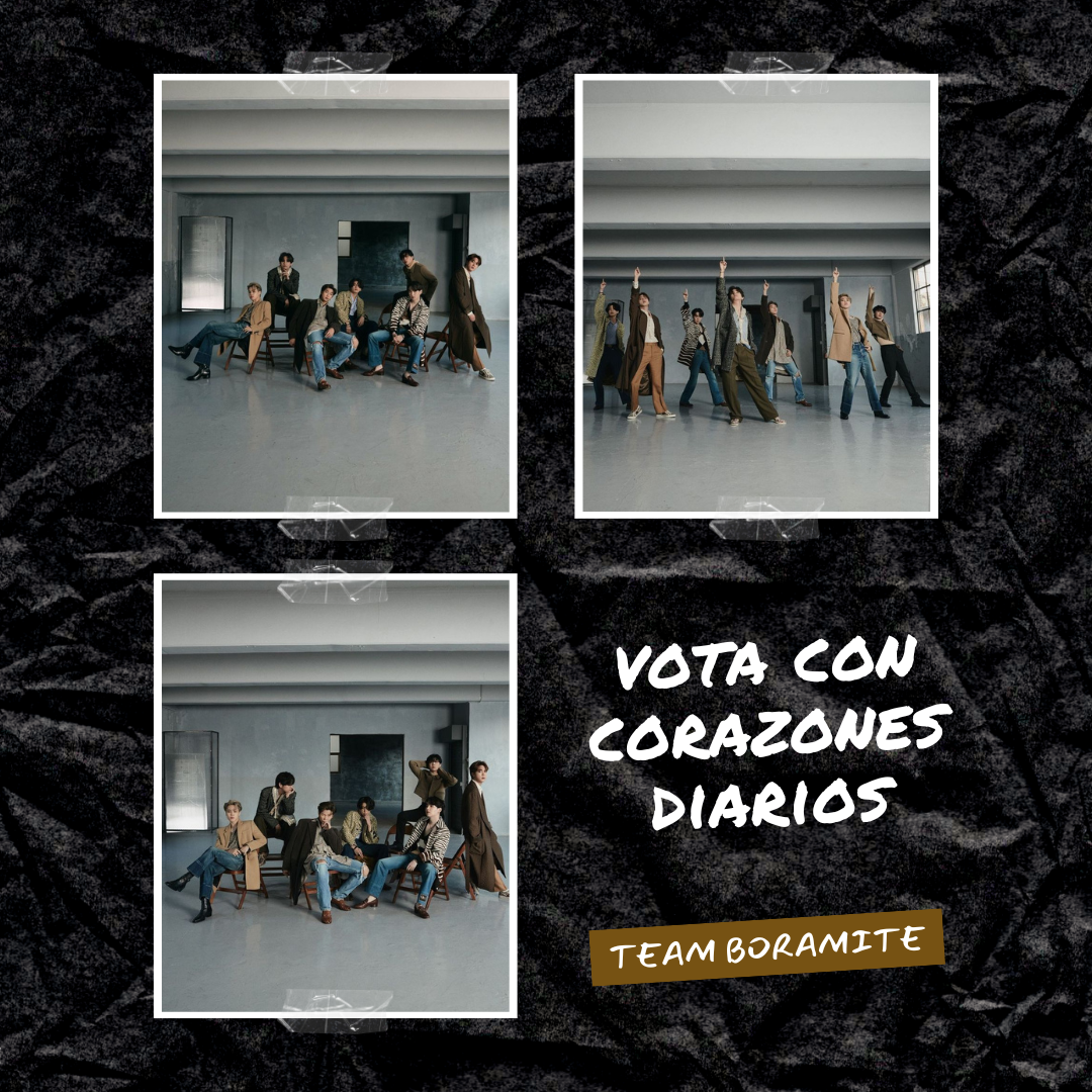 방탄소년단 팬이 찍은 순간