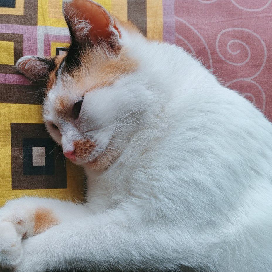 Momen yang diabadikan oleh penggemar NCT