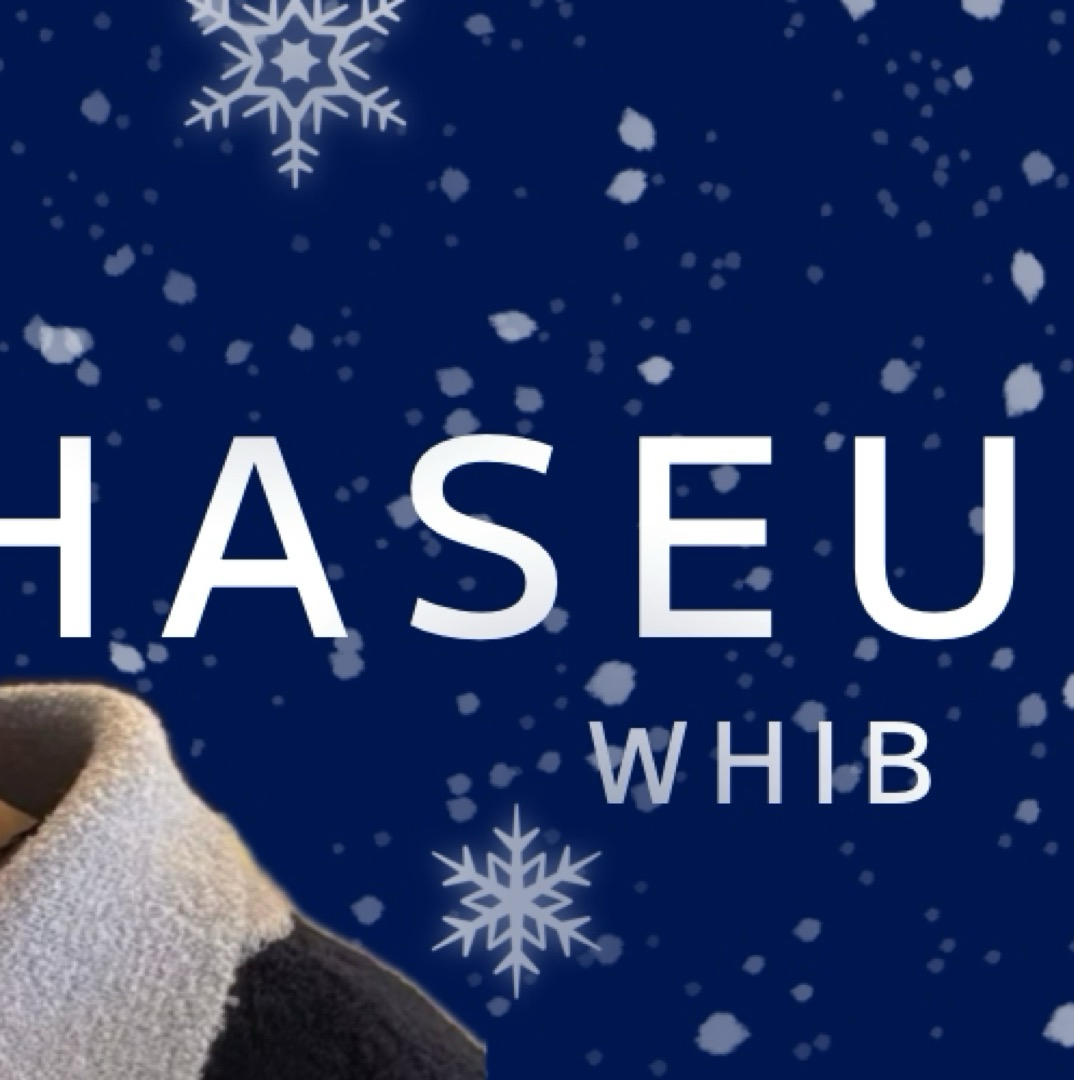 Recent activity shot of HASEUNG (WHIB)