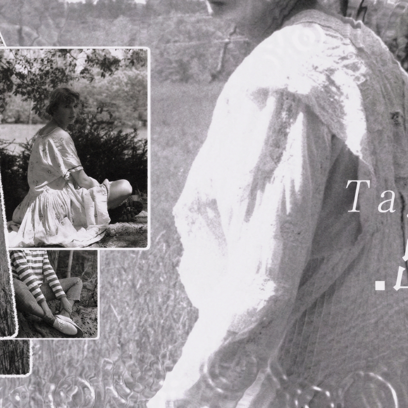 A moment captured by Taylor Swift's fan