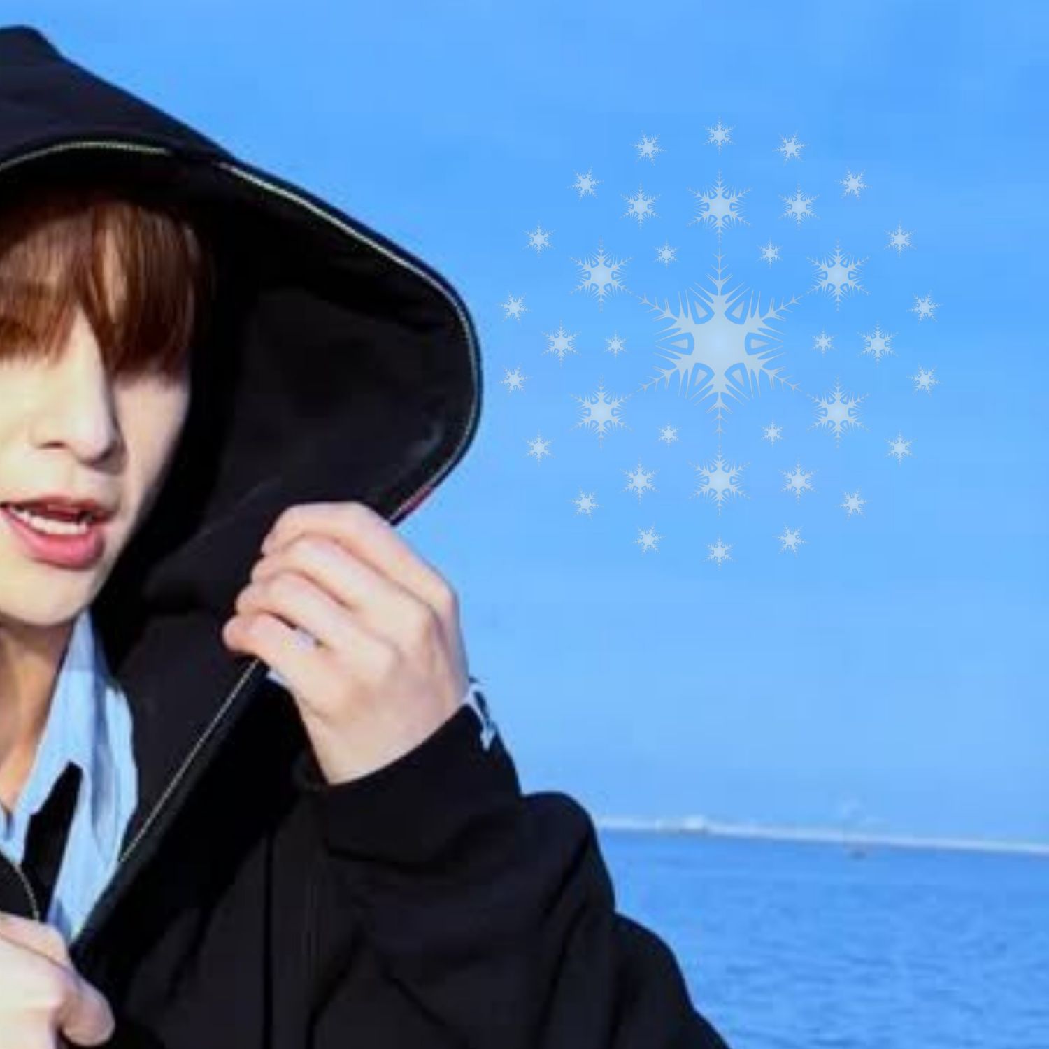 Recent activity shot of Hangyul (POLARIX)