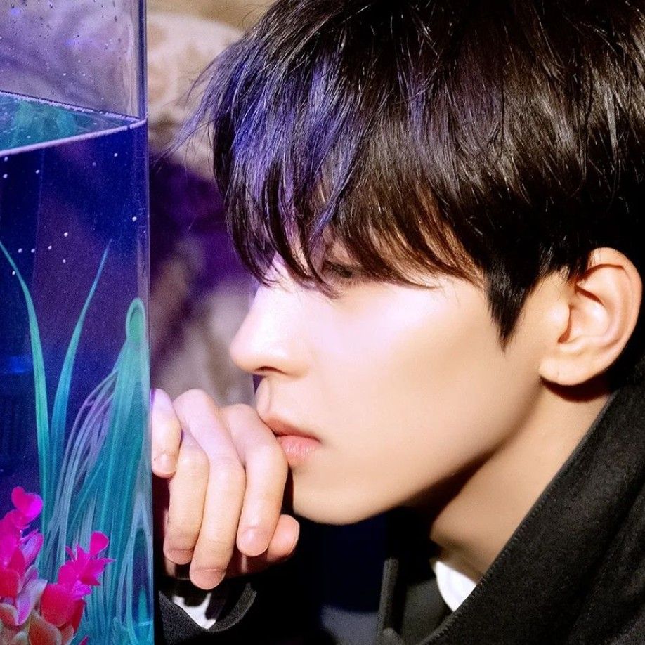 Latest photo of Wonwoo (SEVENTEEN)