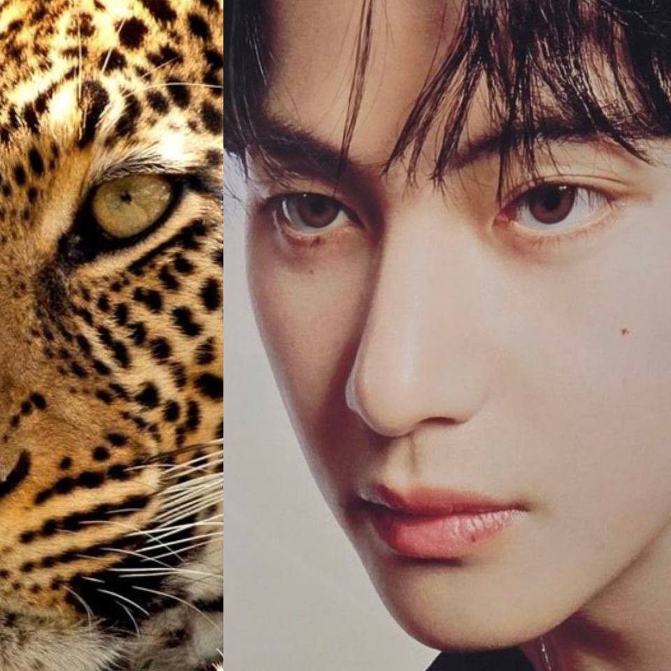 뷔 (방탄소년단) 최근 활동샷