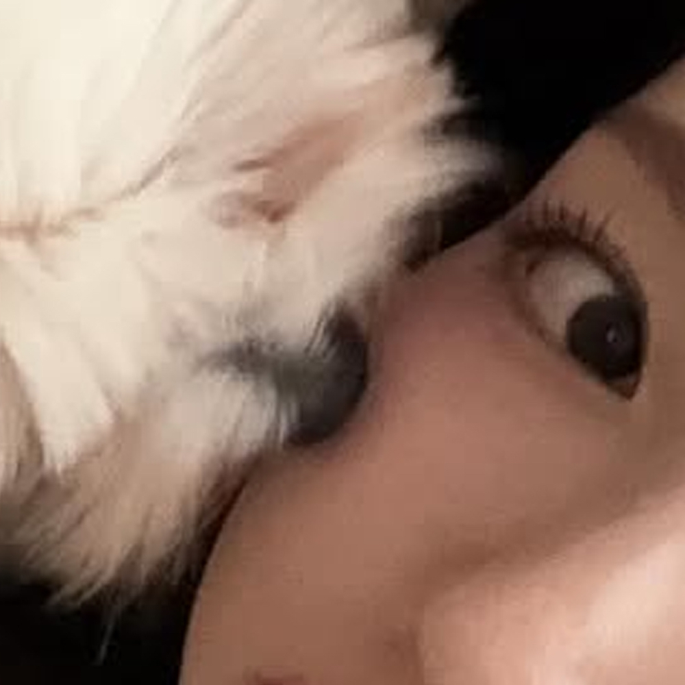 A moment captured by Go Won (Loossemble)'s fan