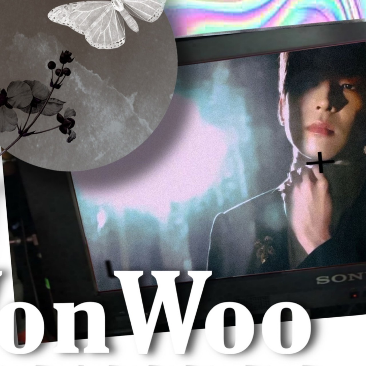 A moment captured by Wonwoo (SEVENTEEN)'s fan