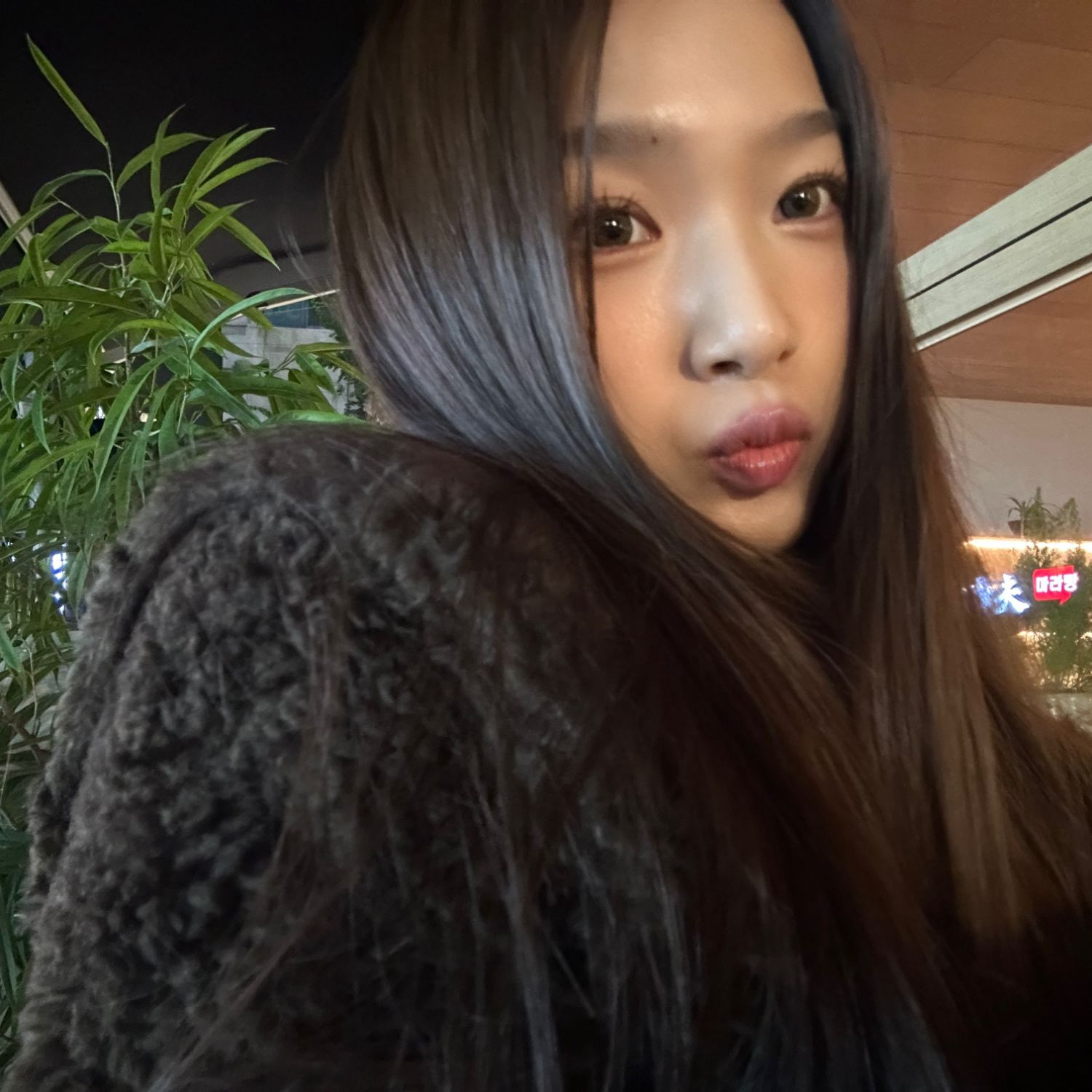 SECRET NUMBER 팬이 찍은 순간