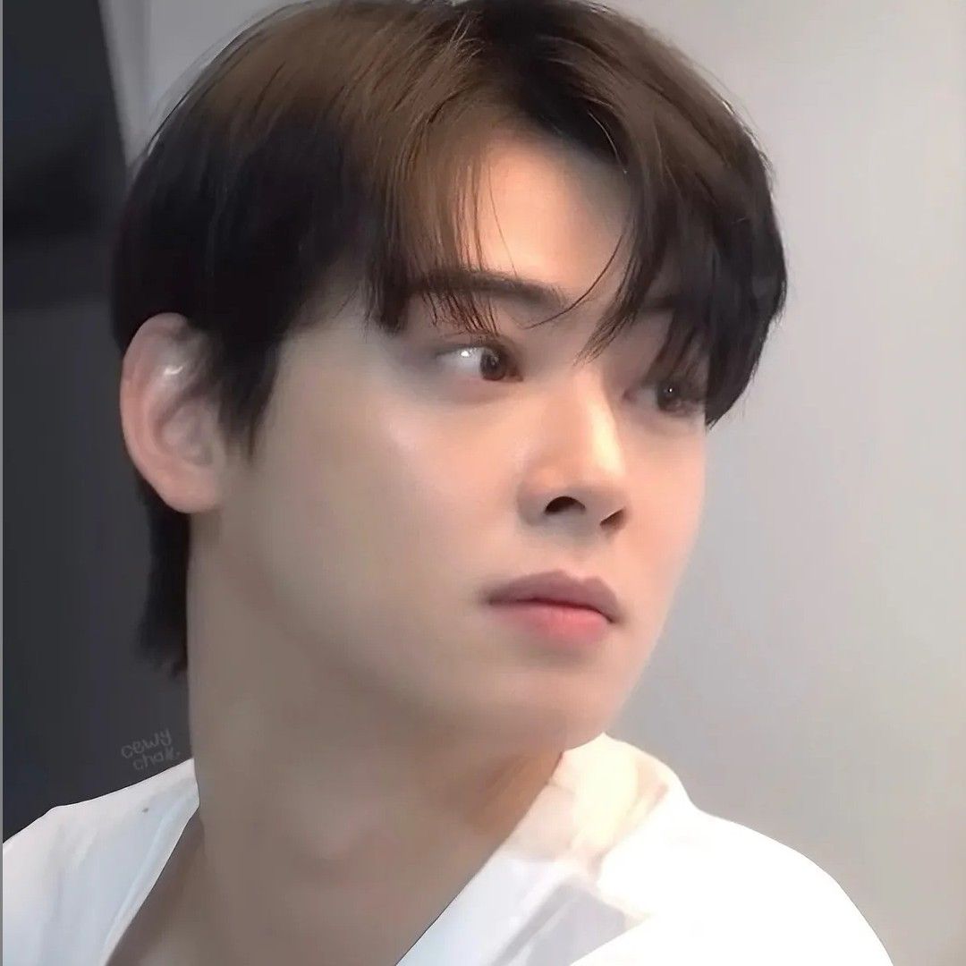 A moment captured by Eunwoo (ASTRO)'s fan