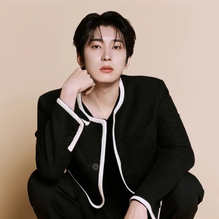 Recent activity shot of Wonwoo (SEVENTEEN)