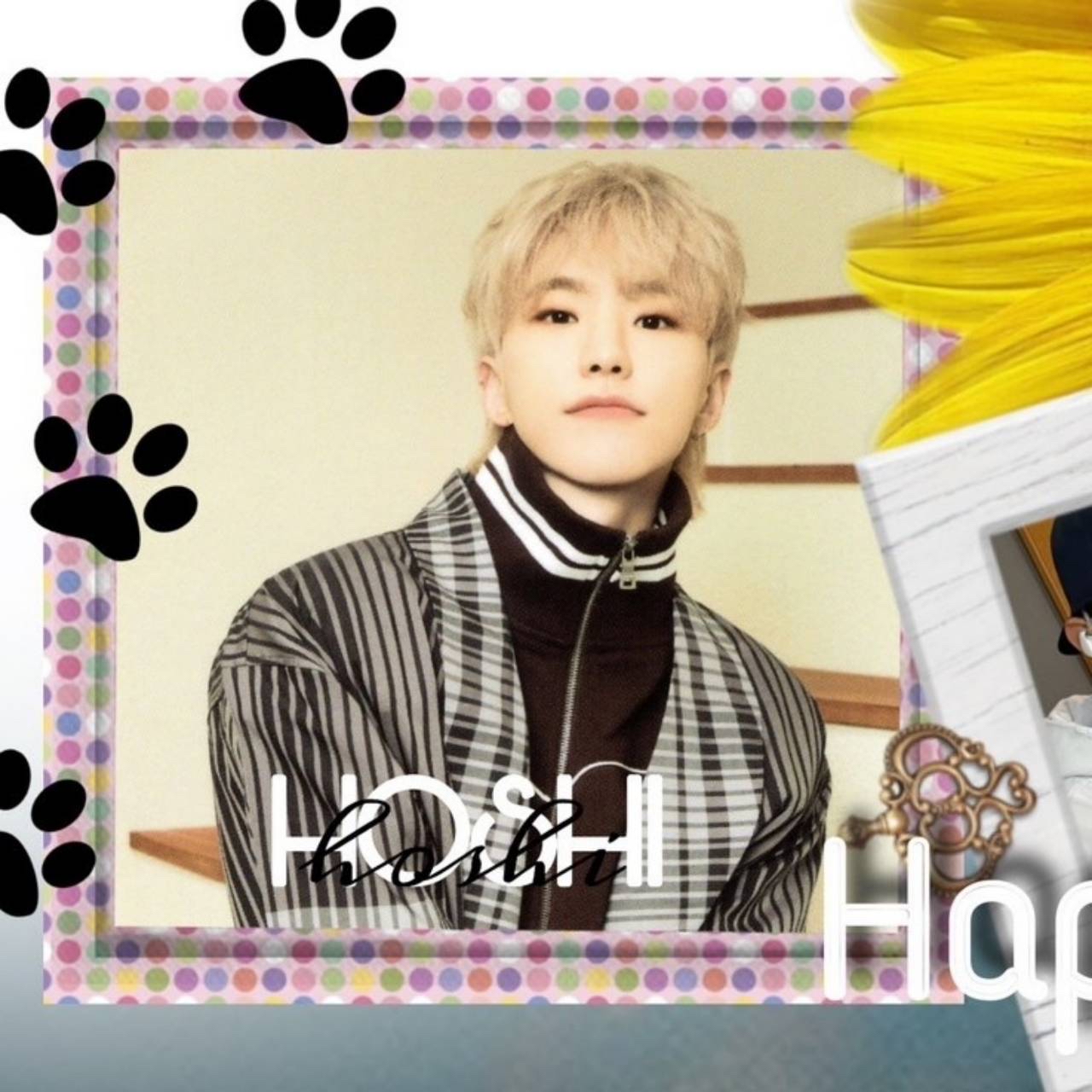 A moment captured by Hoshi (SEVENTEEN)'s fan