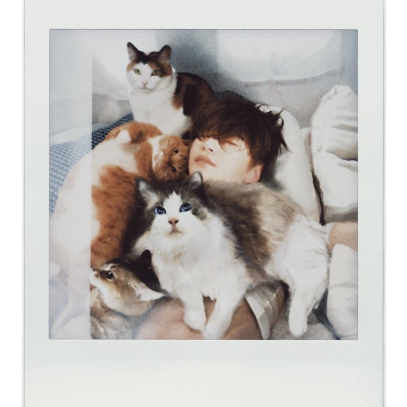Recent activity shot of Kang Daniel
