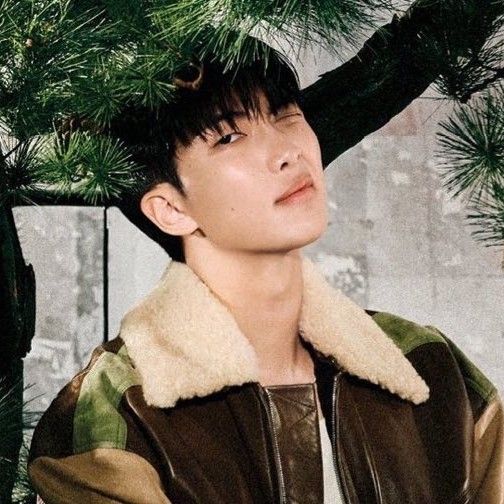 방탄소년단 팬이 찍은 순간