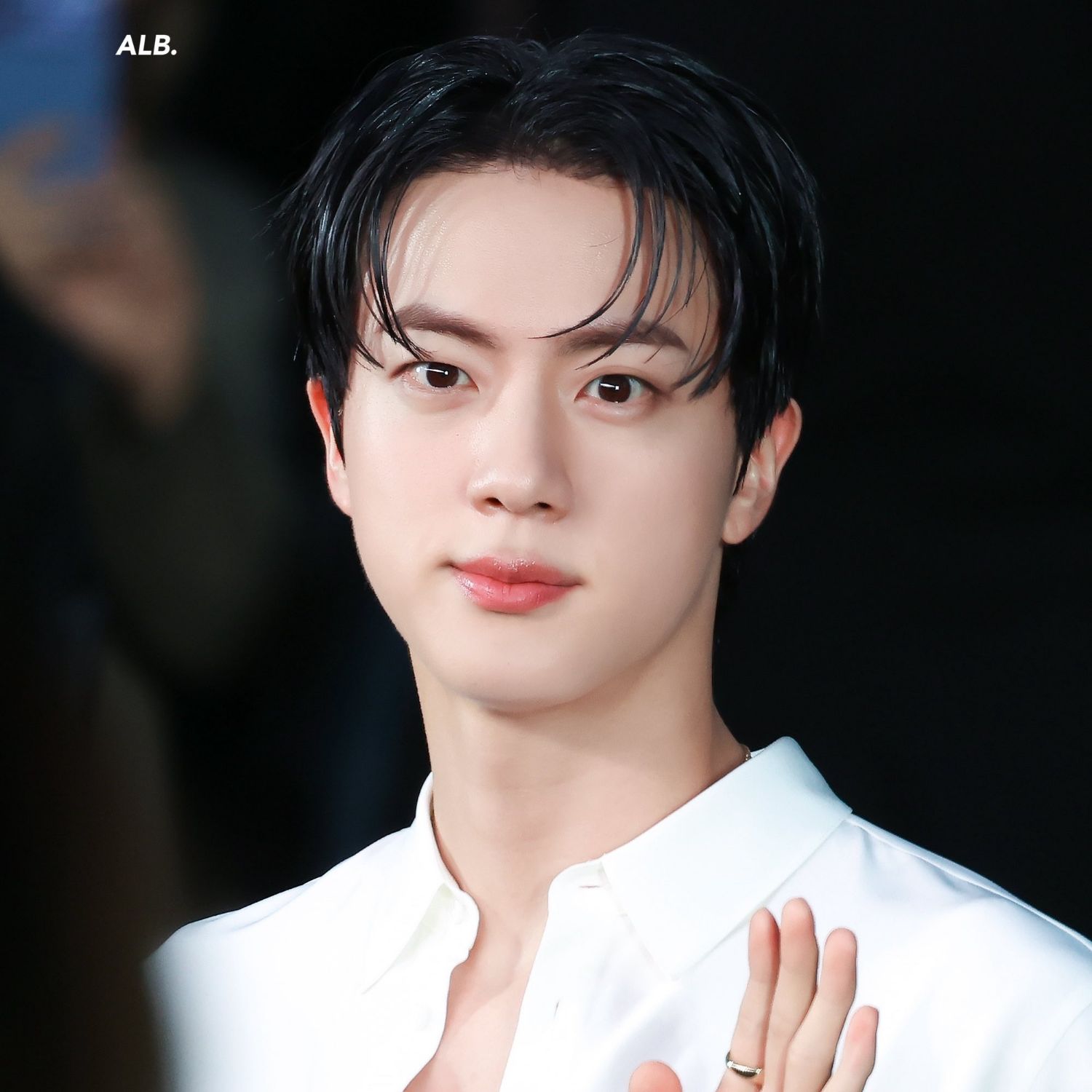 A moment captured by Jin (BTS)'s fan