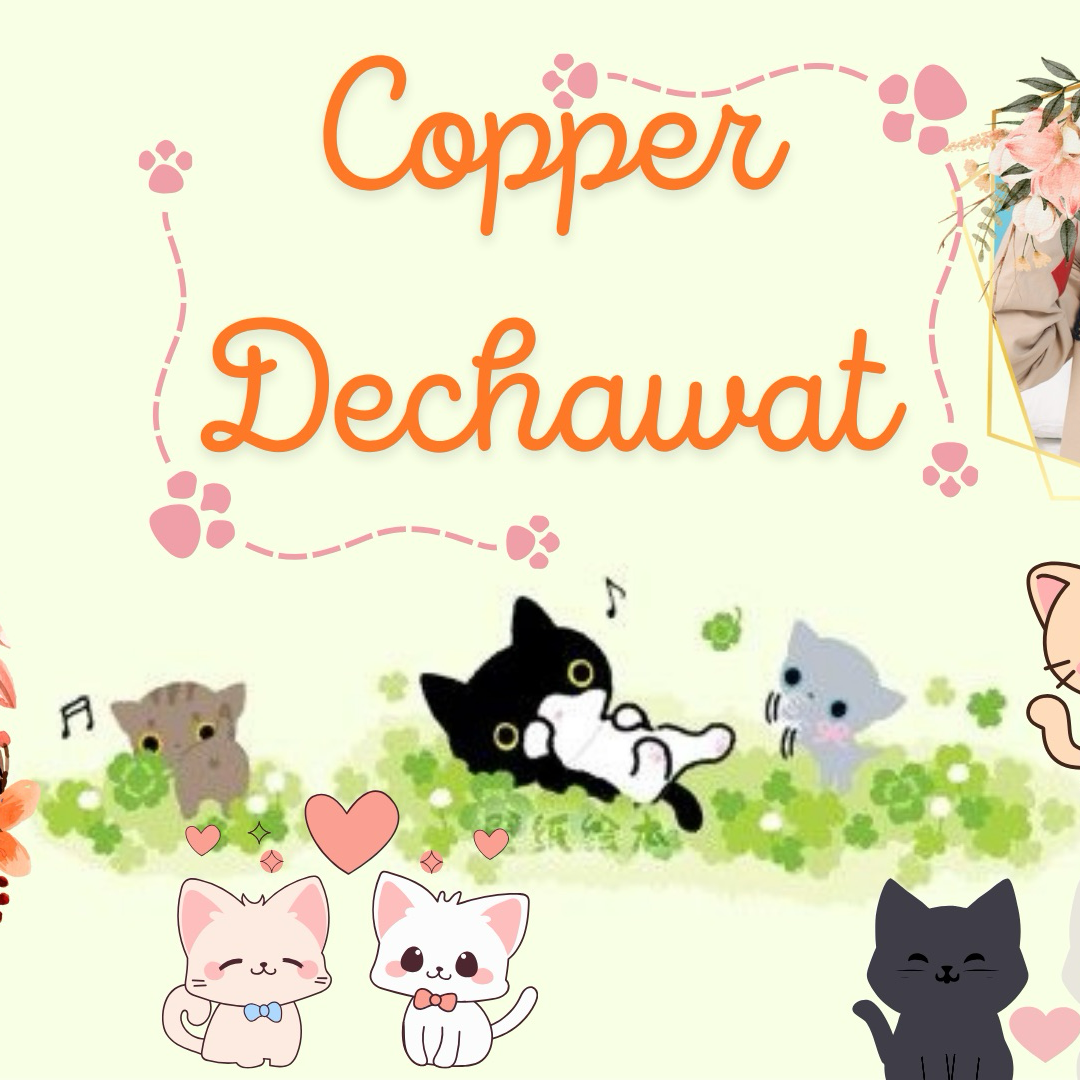 Latest photo of Copper (BUS)