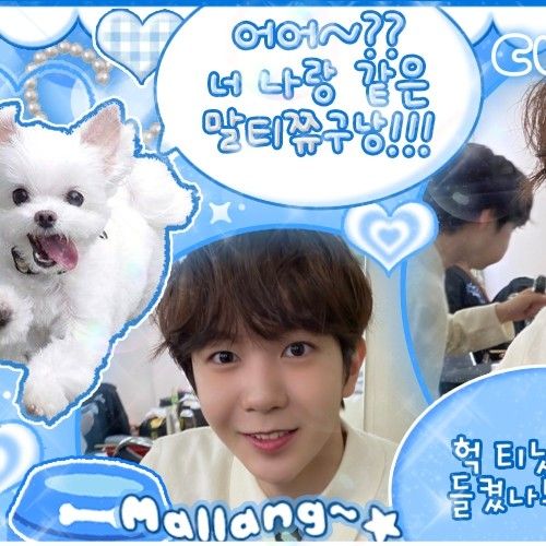 Latest photo of Ryo (NCT WISH)