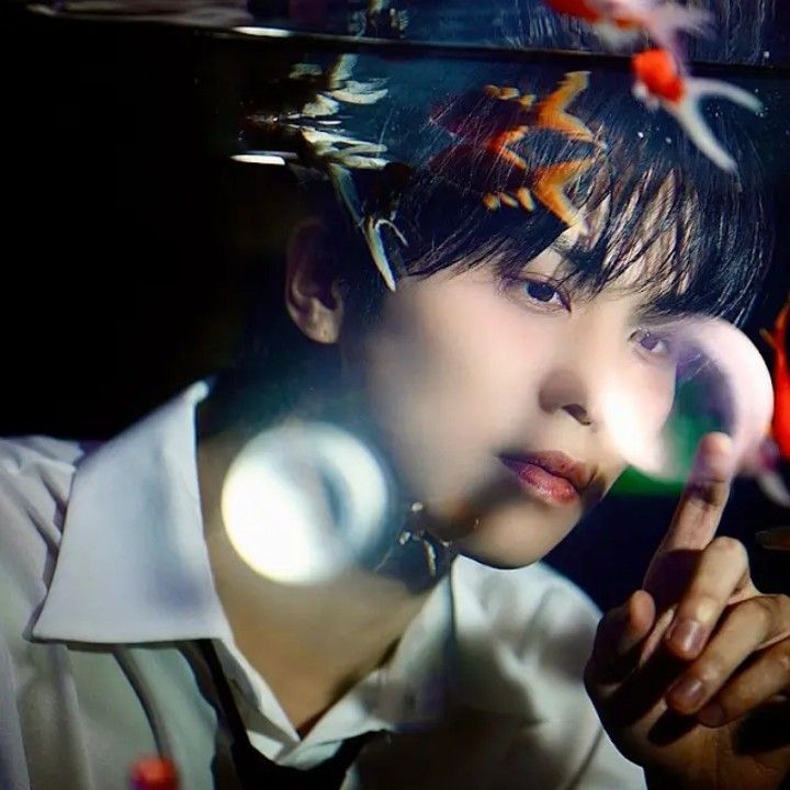 Latest photo of Rocky