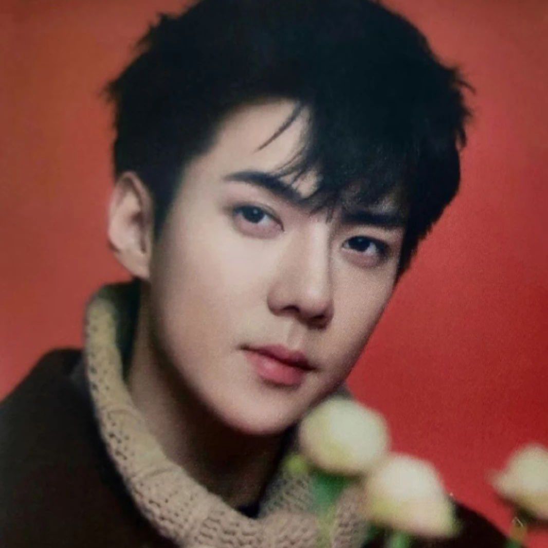 Recent activity shot of Sehun (EXO)