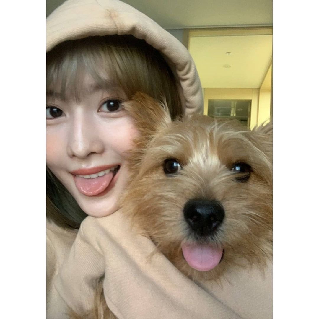 Recent activity shot of Momo (TWICE)