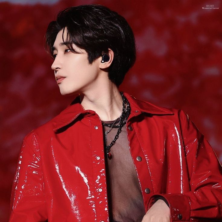 Behind-the-scenes cut of Wonwoo (SEVENTEEN)