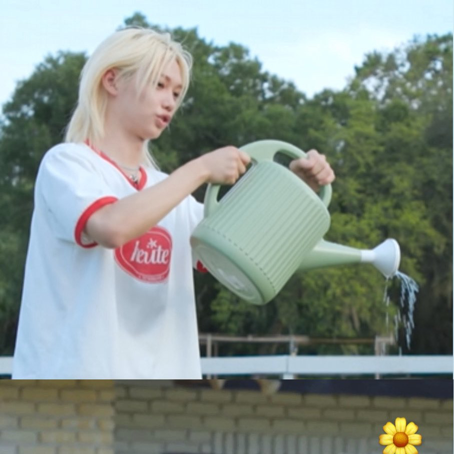 필릭스 (Stray Kids) 팬이 찍은 순간