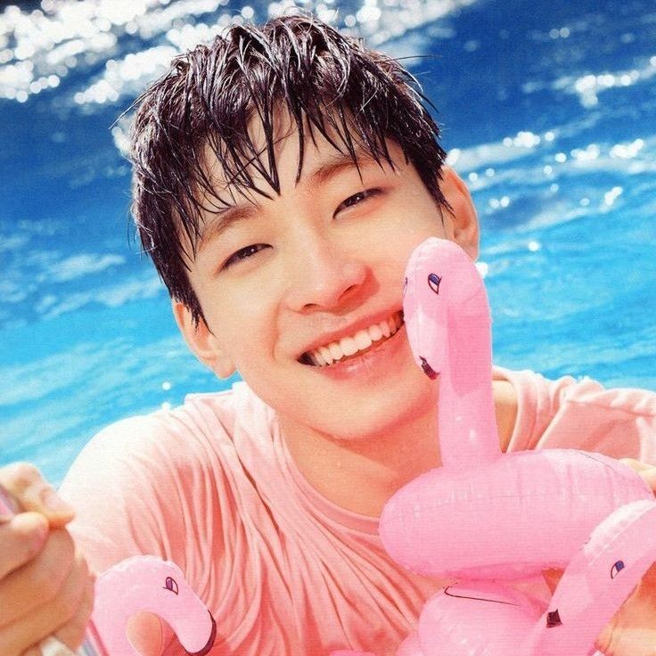 Latest photo of Wonwoo (SEVENTEEN)