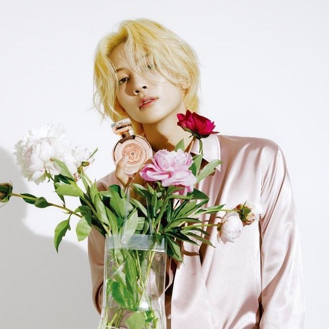 Foto terbaru SEVENTEEN