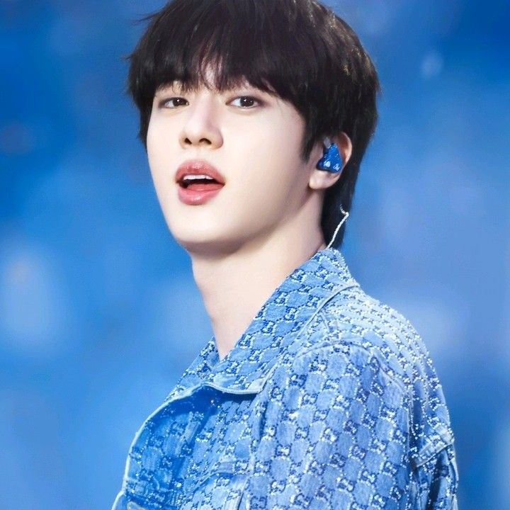 A moment captured by Jin (BTS)'s fan