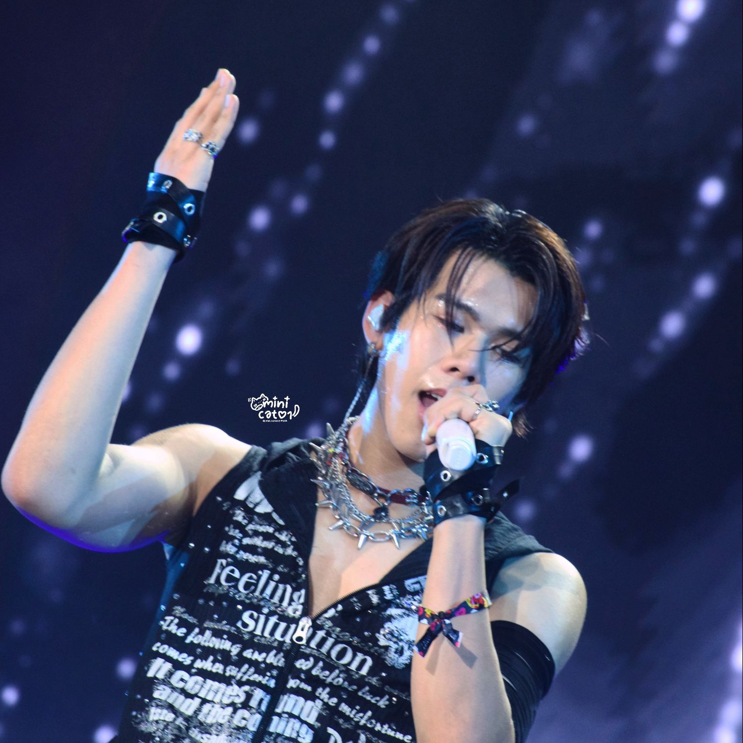 Recent activity shot of Tui (LYKN)