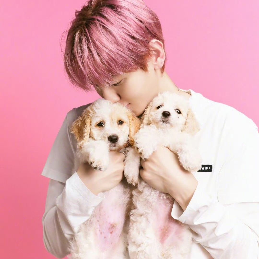 ベクヒョン (EXO)の最新写真