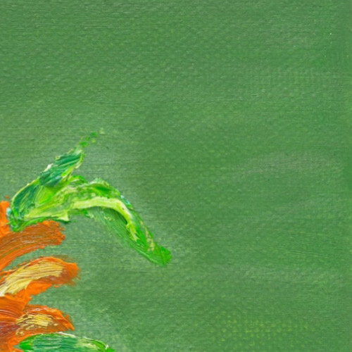 Latest photo of LUCY