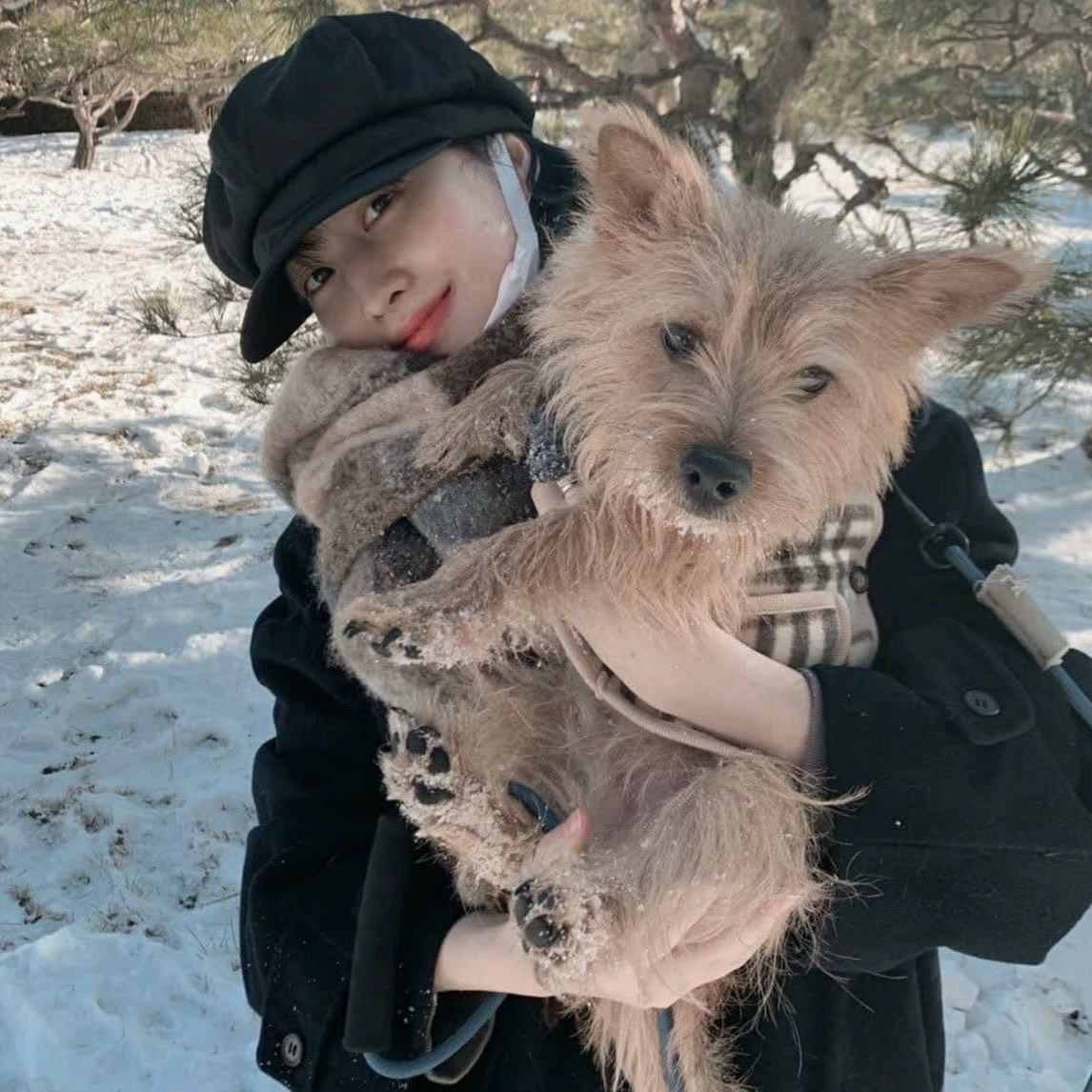 A moment captured by Momo (TWICE)'s fan