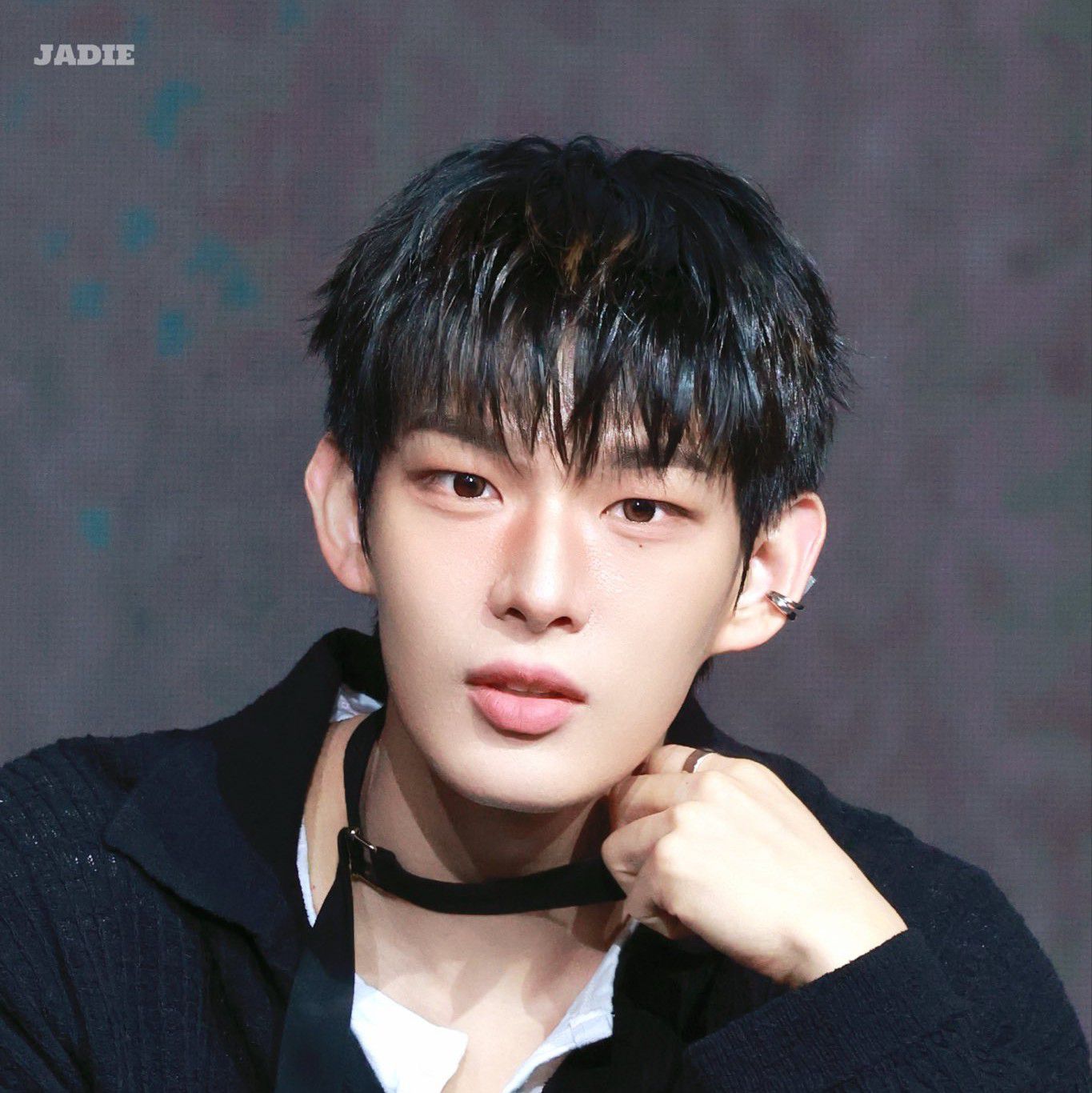 スティーブン (AHOF)の最近の活動写真