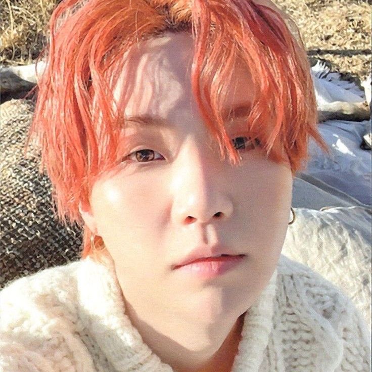 A moment captured by SUGA (BTS)'s fan