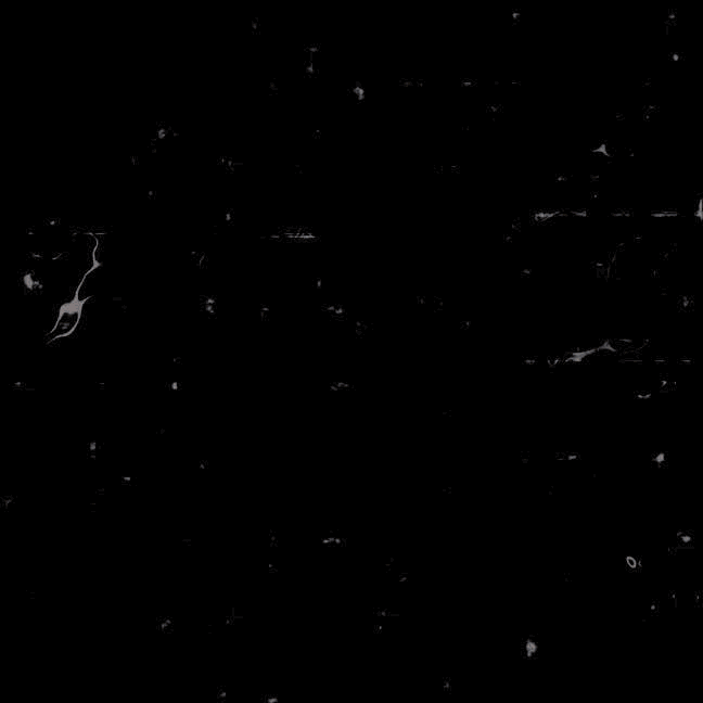 EXO의 비하인드 컷