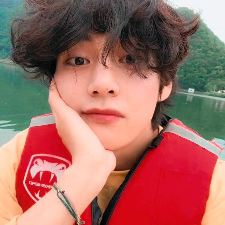 V (BTS)ファンが撮った瞬間