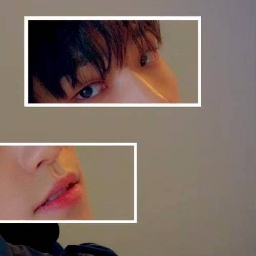 Must-see popular post of 디노 (세븐틴), your favorite